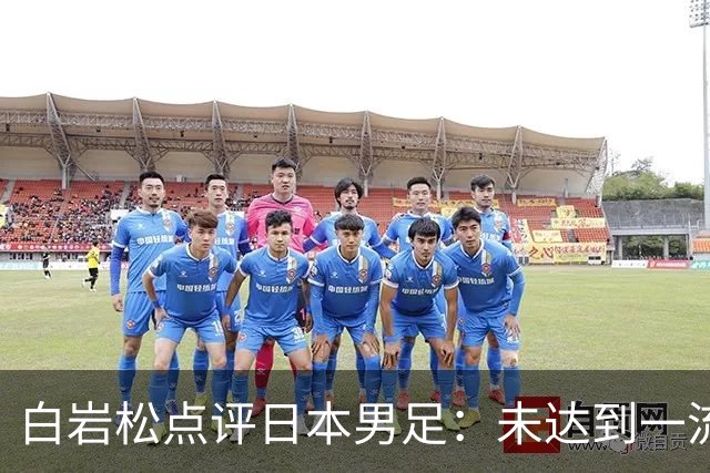 白岩松点评日本男足：未达到一流强队标准，仍需克服对荷兰的恐惧